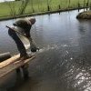 Fischbesatz nach Biberschaden 2022